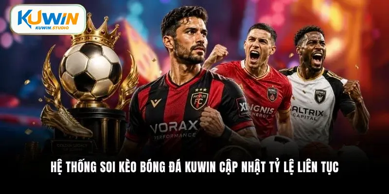 Hệ thống soi kèo bóng đá Kuwin cập nhật tỷ lệ liên tục